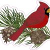 Pine Branch Cardinal Vinyl Sticker