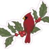 Holly Branch Cardinal Vinyl Sticker