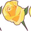 yellow rose stickers