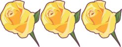 yellow rose stickers