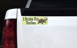 I Brake For Turtles Magnet
