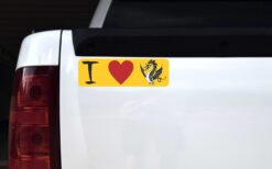 I Love Dragons Vinyl Sticker
