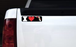 I Love Florida Magnet