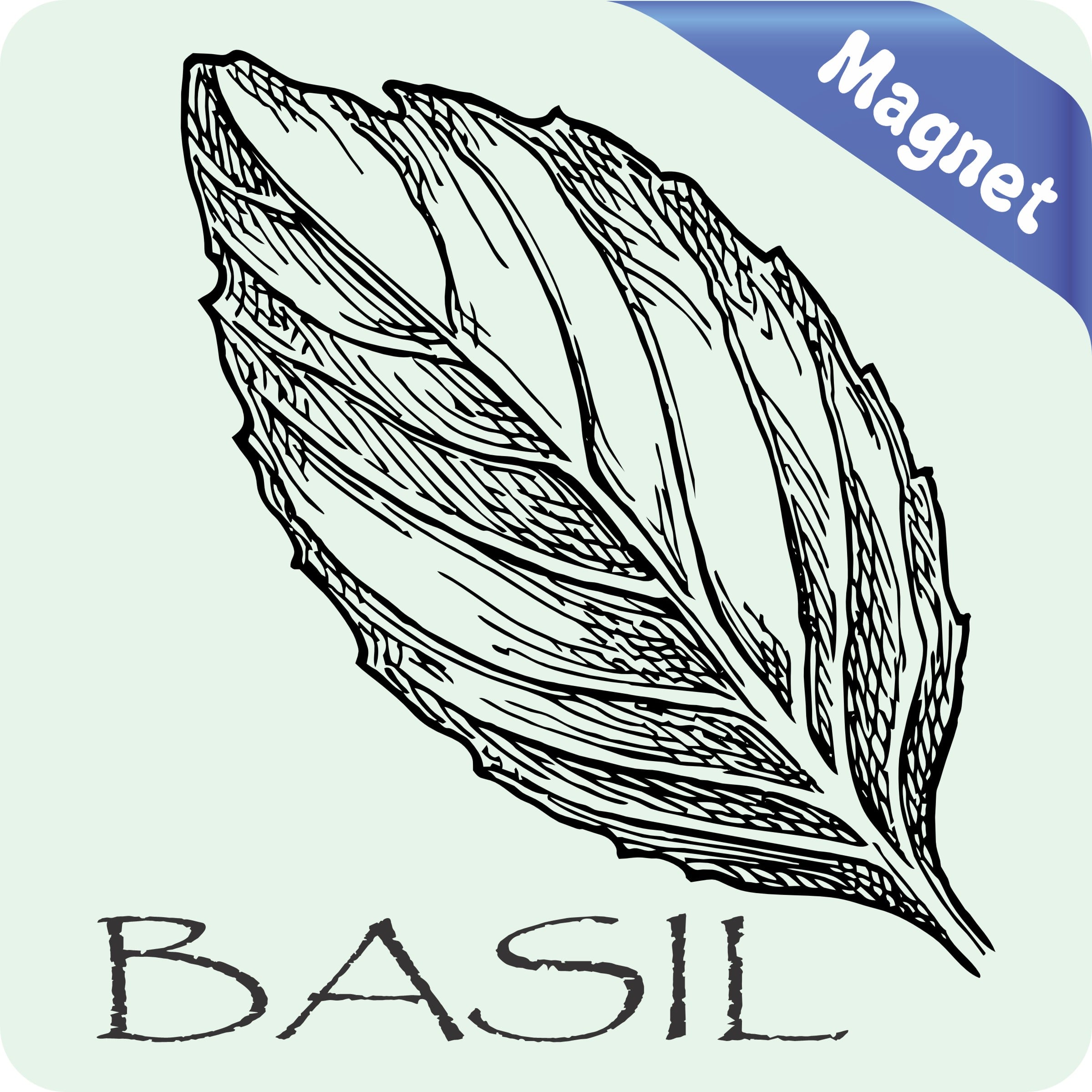 StickerTalk Basil Magnet, 4 inches x 4 inches - Image 2