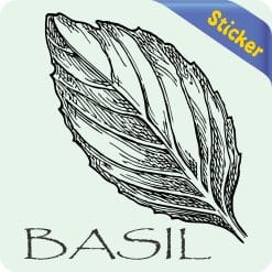 Alternative view of StickerTalk Basil Vinyl Sticker, 4 inches x 4 inches