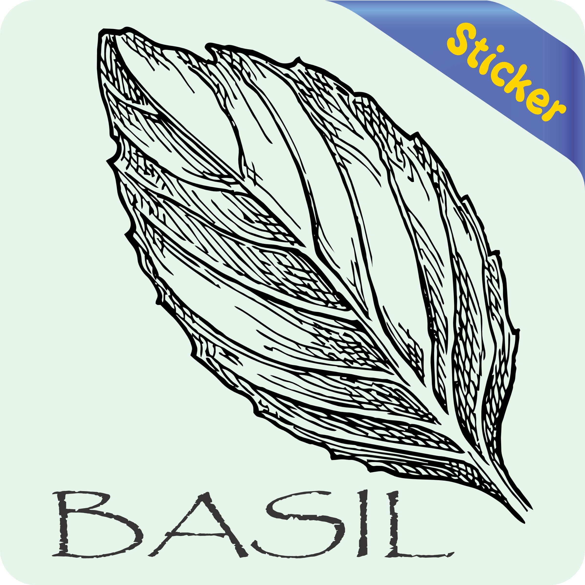 StickerTalk Basil Vinyl Sticker, 4 inches x 4 inches - Image 2