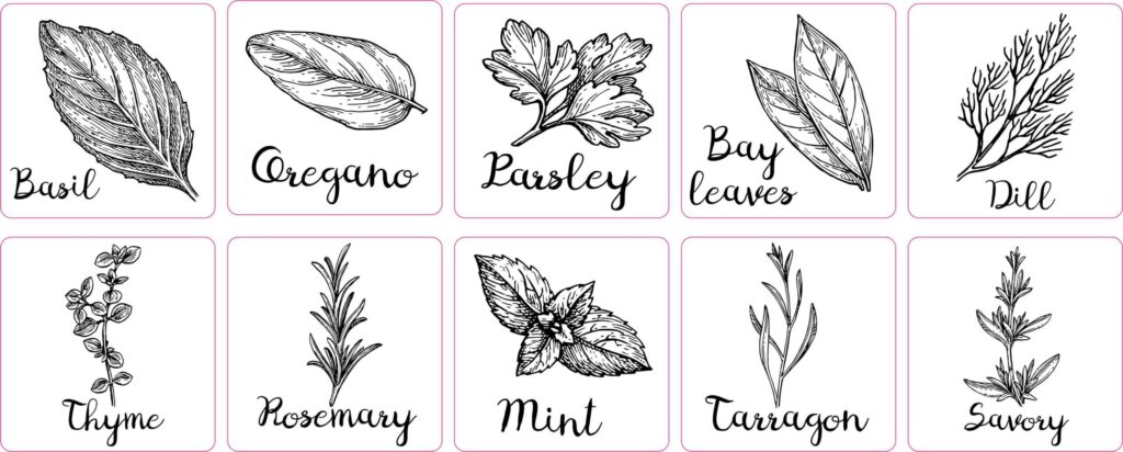 Herb Garden Label Vinyl Stickers