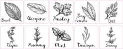 Herb Garden Label Vinyl Stickers