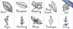 StickerTalk Herb Garden Label Vinyl Stickers, 1 sheet of 10 stic