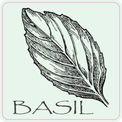 Basil Vinyl Sticker
