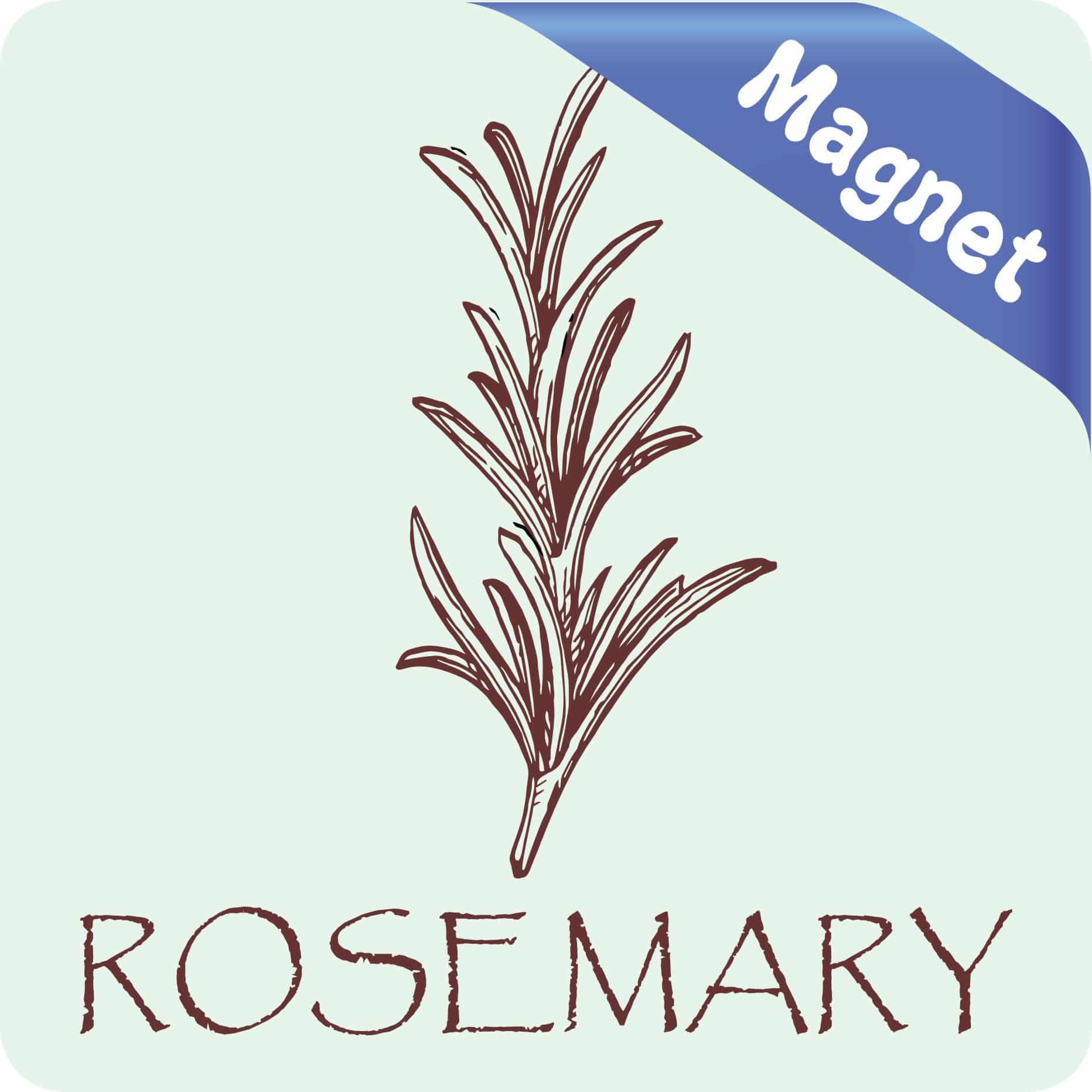 StickerTalk Rosemary Magnet, 3 inches x 3 inches - Image 2