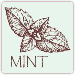 Mint Vinyl Sticker