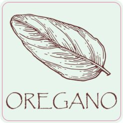 Oregano Vinyl Sticker