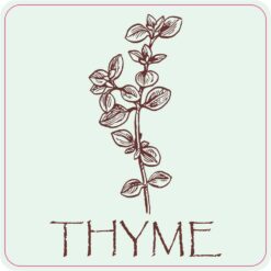 Thyme Vinyl Sticker
