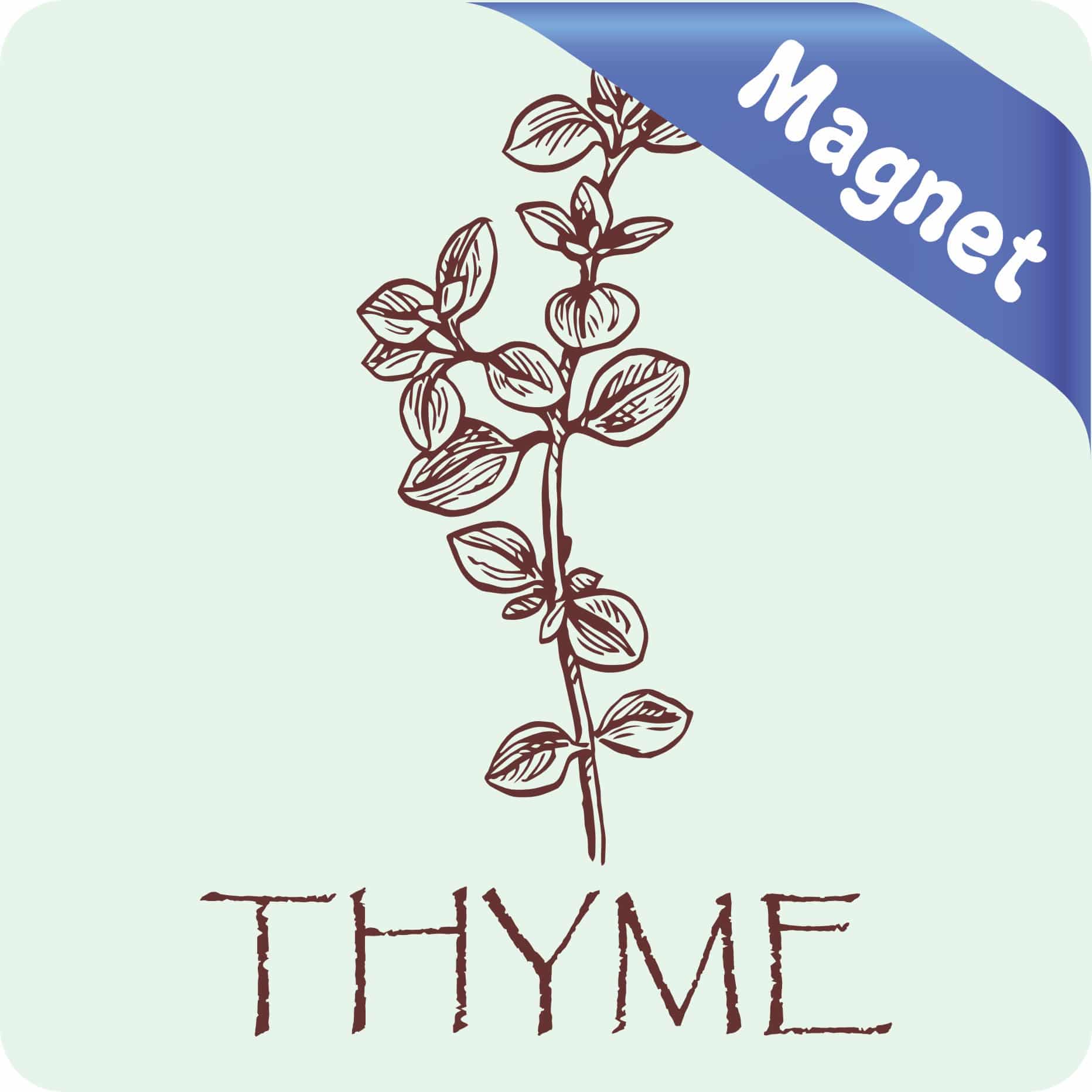StickerTalk Thyme Magnet, 3 inches x 3 inches - Image 2