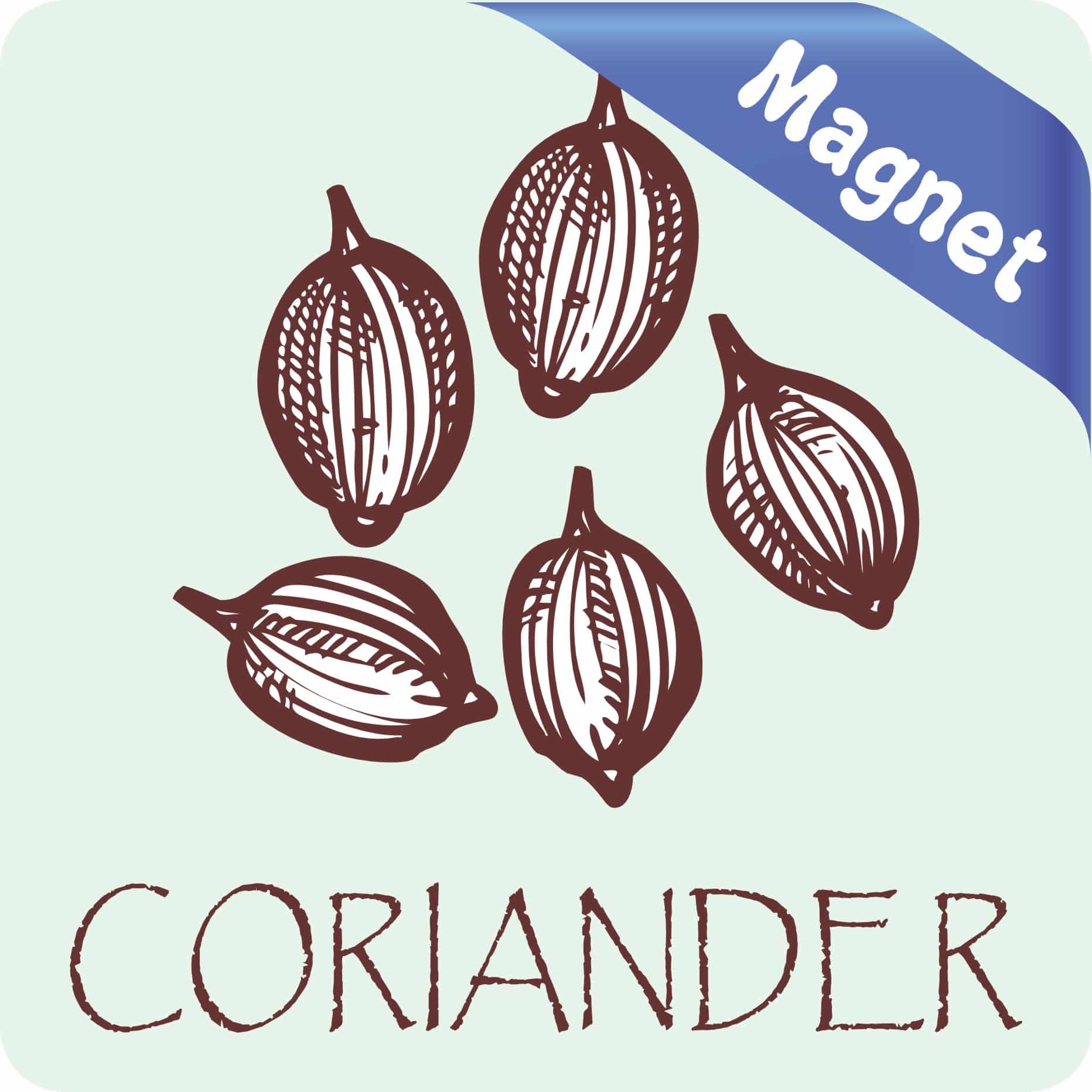 StickerTalk Coriander Magnet, 3 inches x 3 inches - Image 2