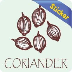Alternative view of StickerTalk Coriander Vinyl Sticker, 3 inches x 3 inches