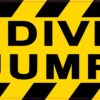 No Diving No Jumping Magnet
