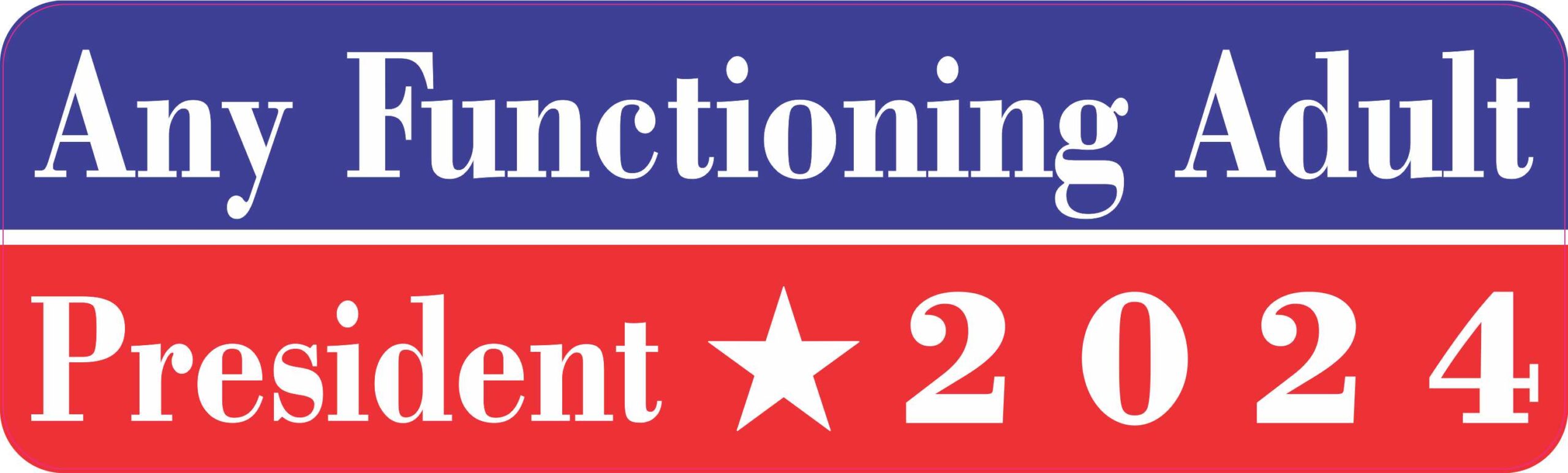Any Functioning Adult President 2024 Magnet