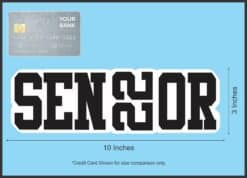 StickerTalk Senior 22 Vinyl Sticker, 9.5 inches x 3 inches