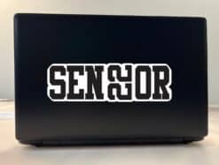 StickerTalk Senior 22 Vinyl Sticker, 9.5 inches x 3 inches