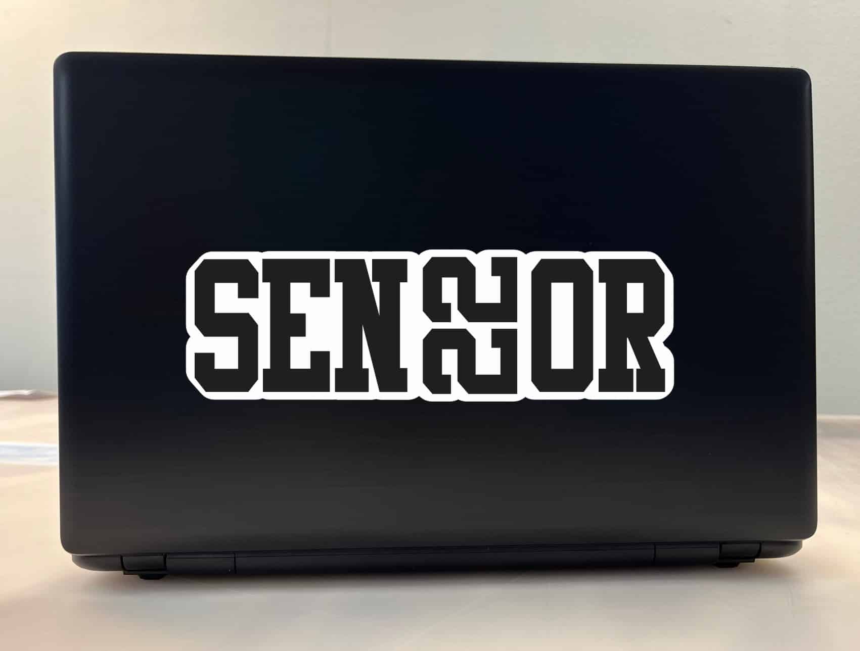 StickerTalk Senior 22 Vinyl Sticker, 9.5 inches x 3 inches