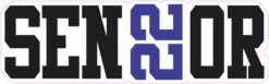 Blue Senior 2022 Vinyl Sticker