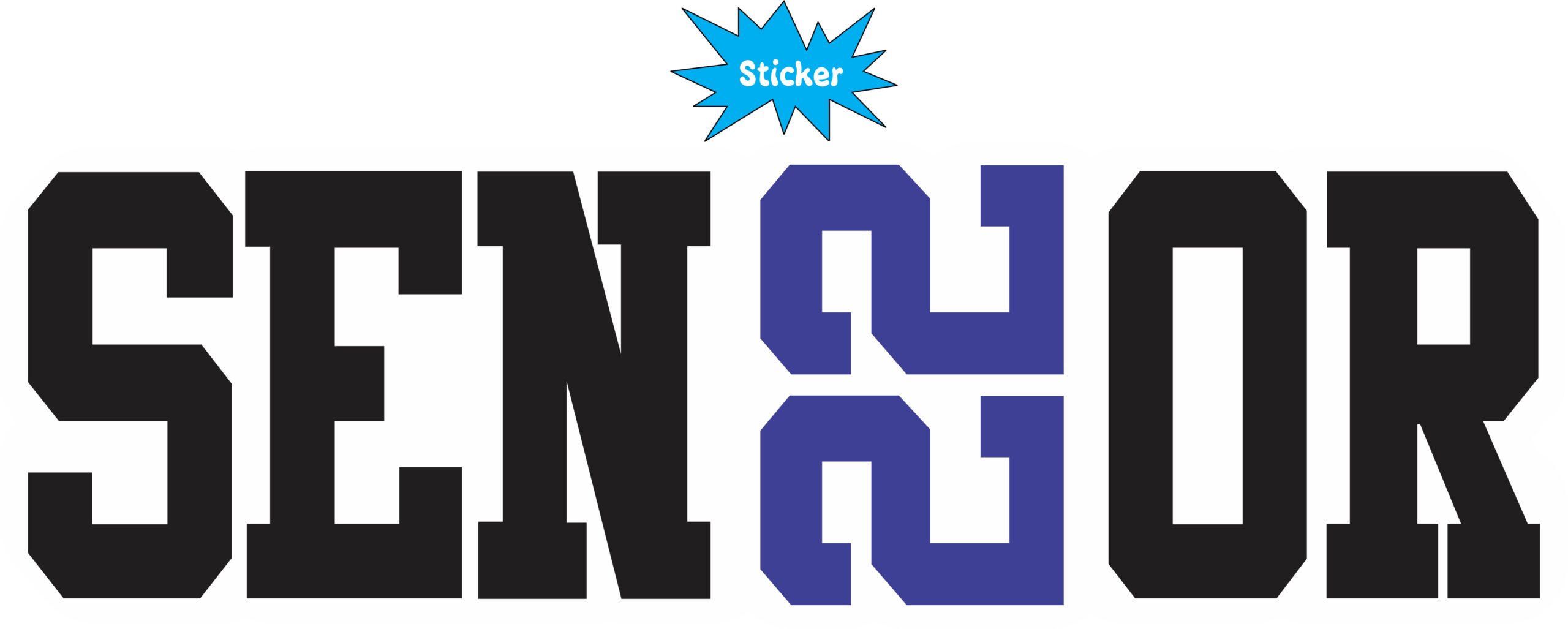 StickerTalk Blue Senior 2022 Vinyl Sticker, 9.5 inches x 3 inches