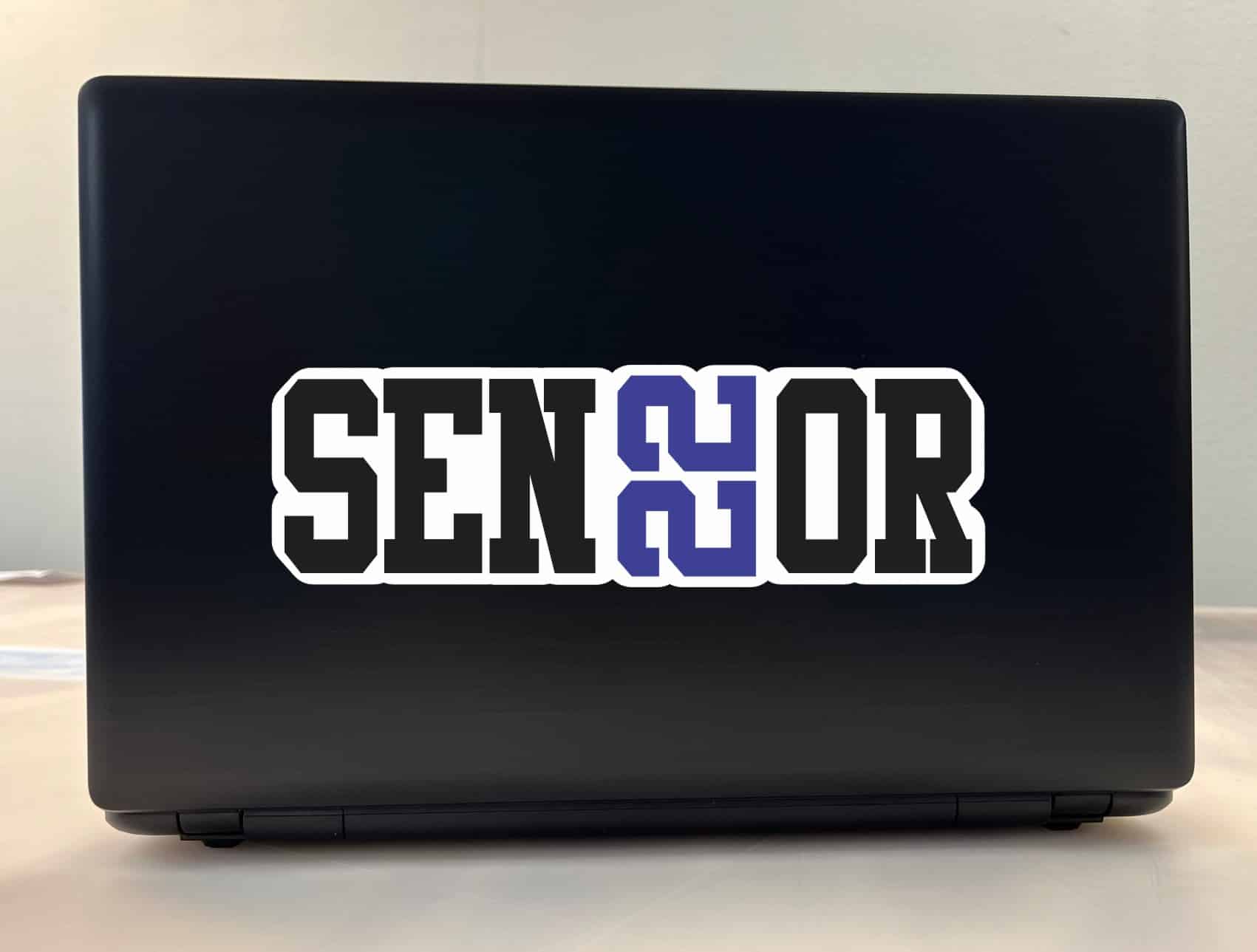 StickerTalk Blue Senior 2022 Vinyl Sticker, 9.5 inches x 3 inches
