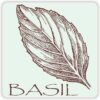 Basil Magnet