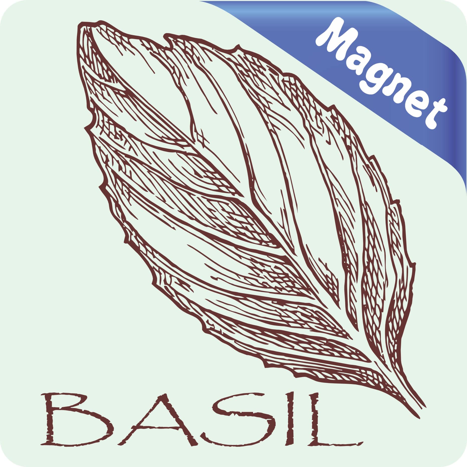 StickerTalk Basil Magnet, 3 inches x 3 inches - Image 2