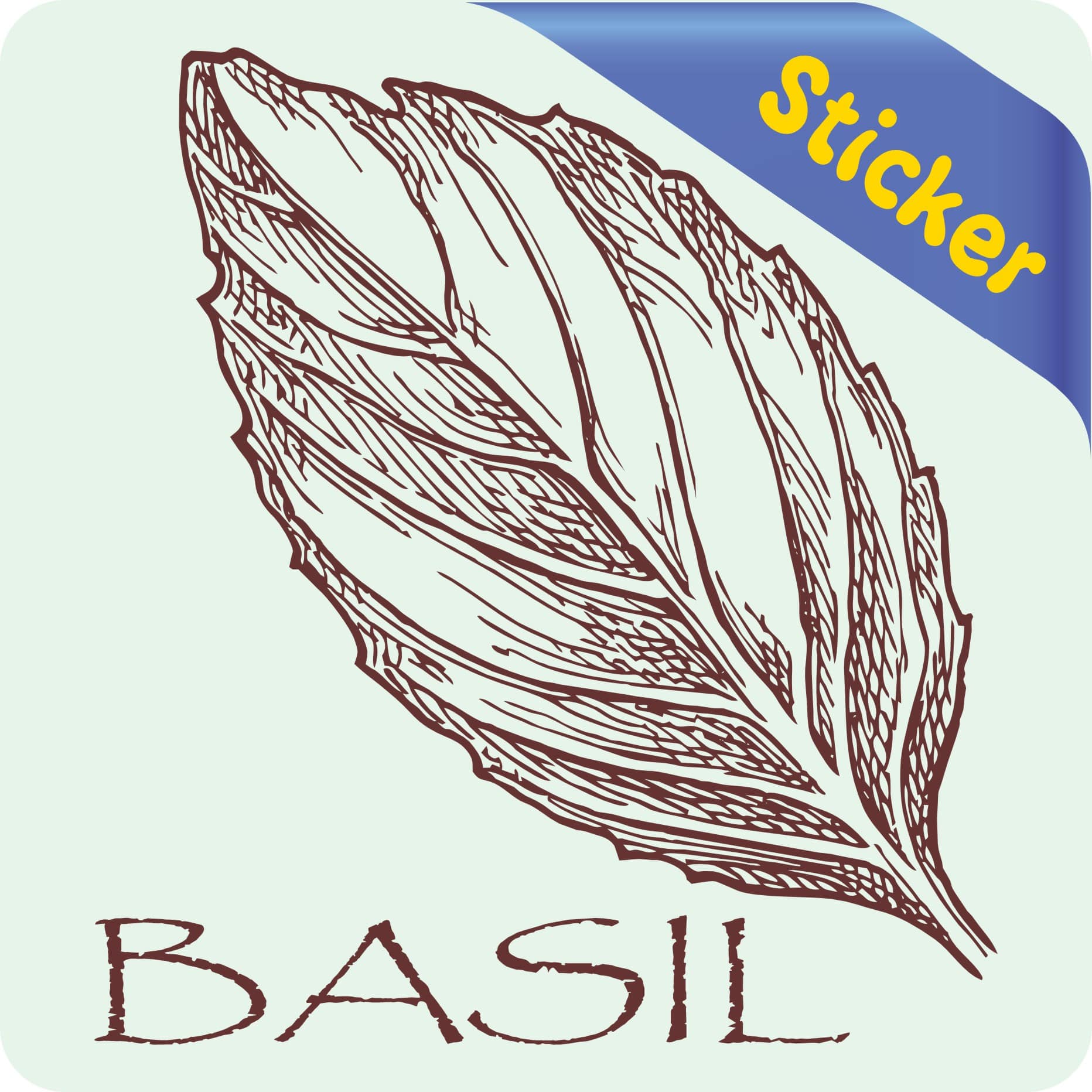 StickerTalk Basil Vinyl Sticker, 3 inches x 3 inches - Image 2