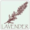 Lavender Vinyl Sticker