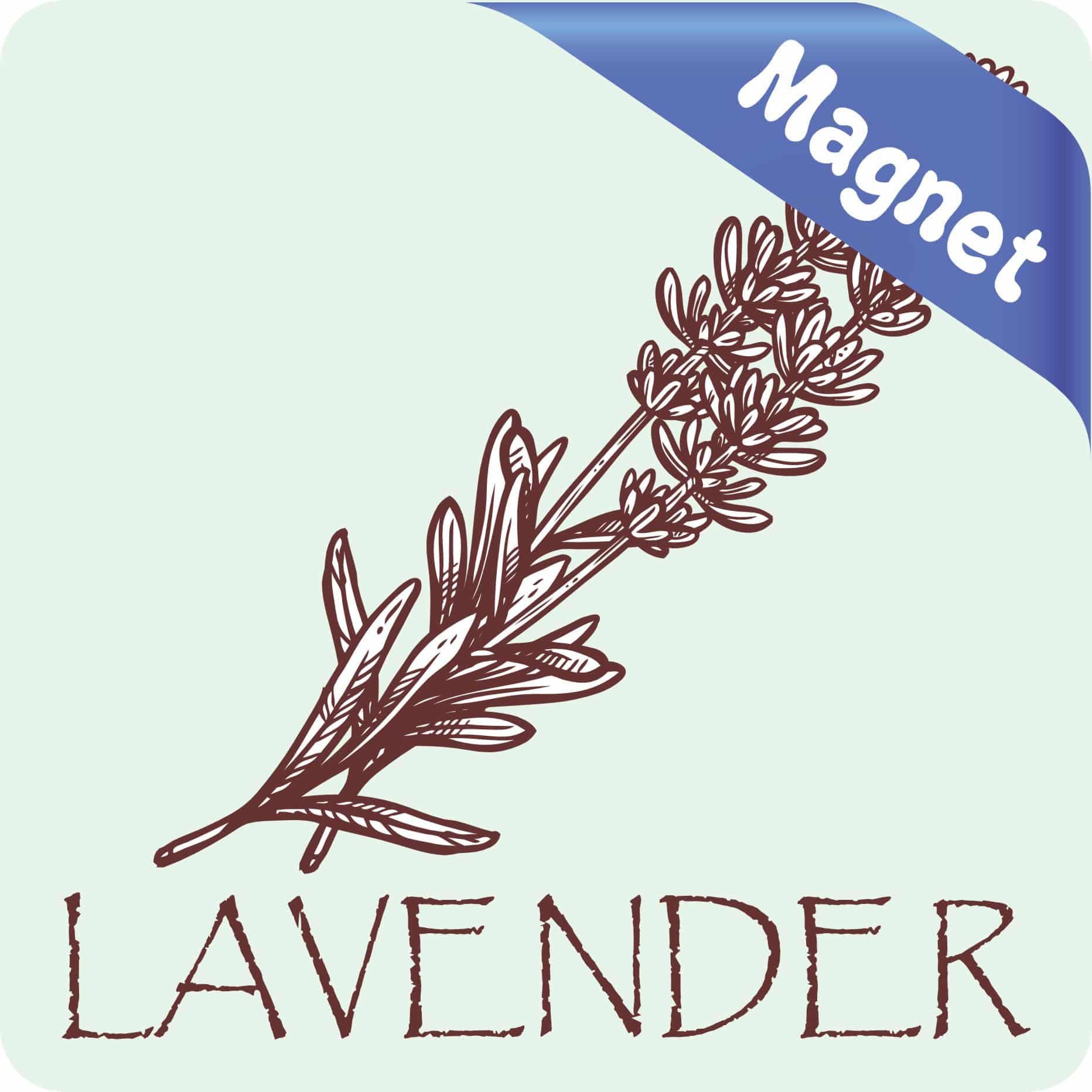 StickerTalk Lavender Magnet, 3 inches x 3 inches - Image 2