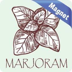 Alternative view of StickerTalk Marjoram Magnet, 3 inches x 3 inches