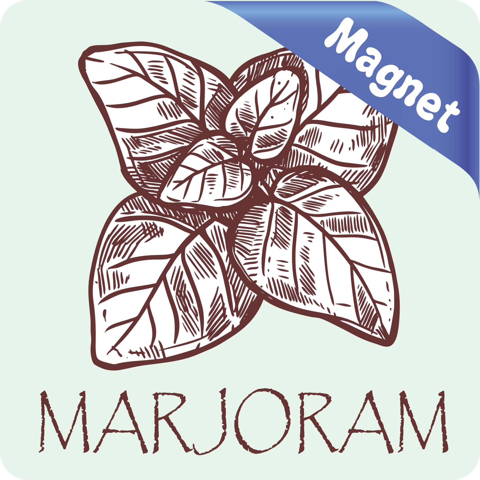 StickerTalk Marjoram Magnet, 3 inches x 3 inches - Image 2