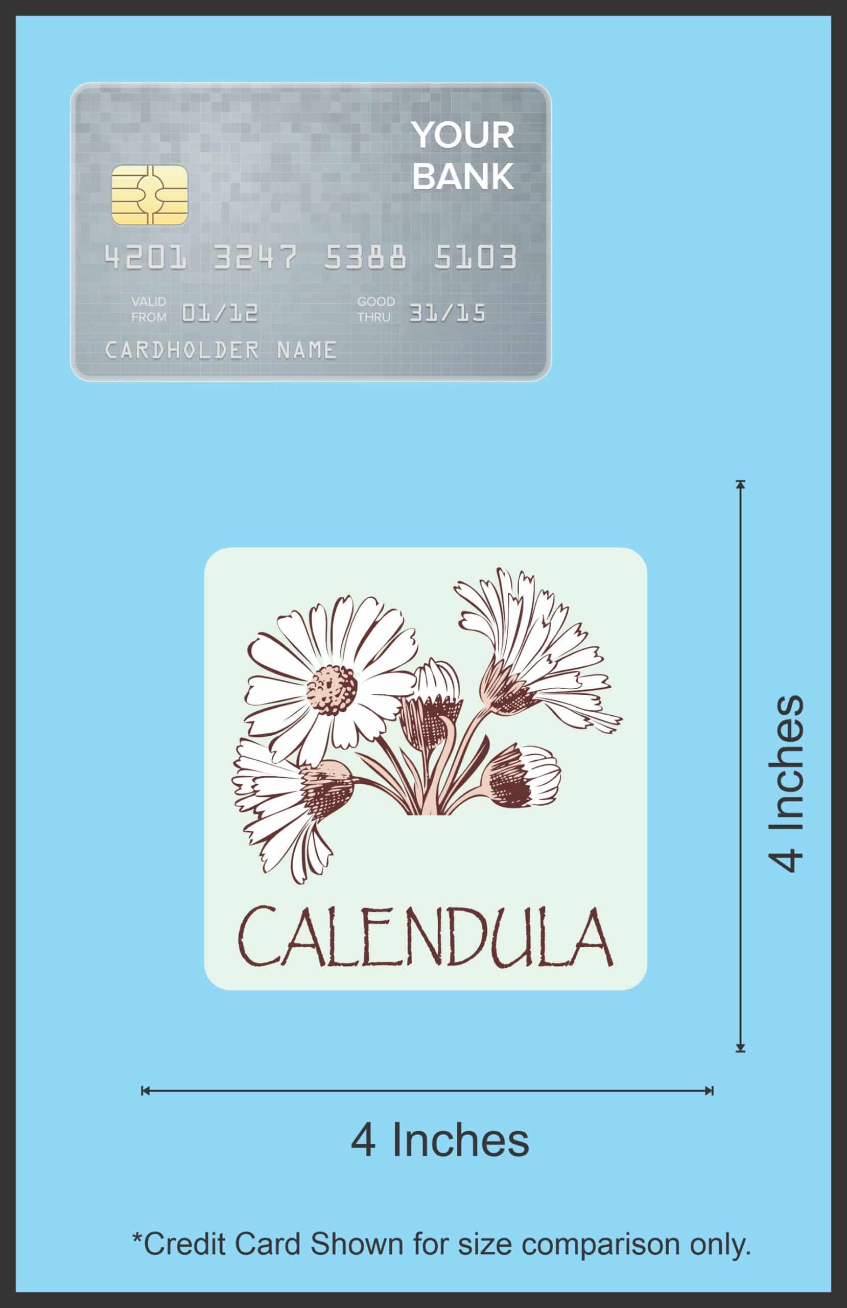 StickerTalk Calendula Vinyl Sticker, 3 inches x 3 inches - Image 4