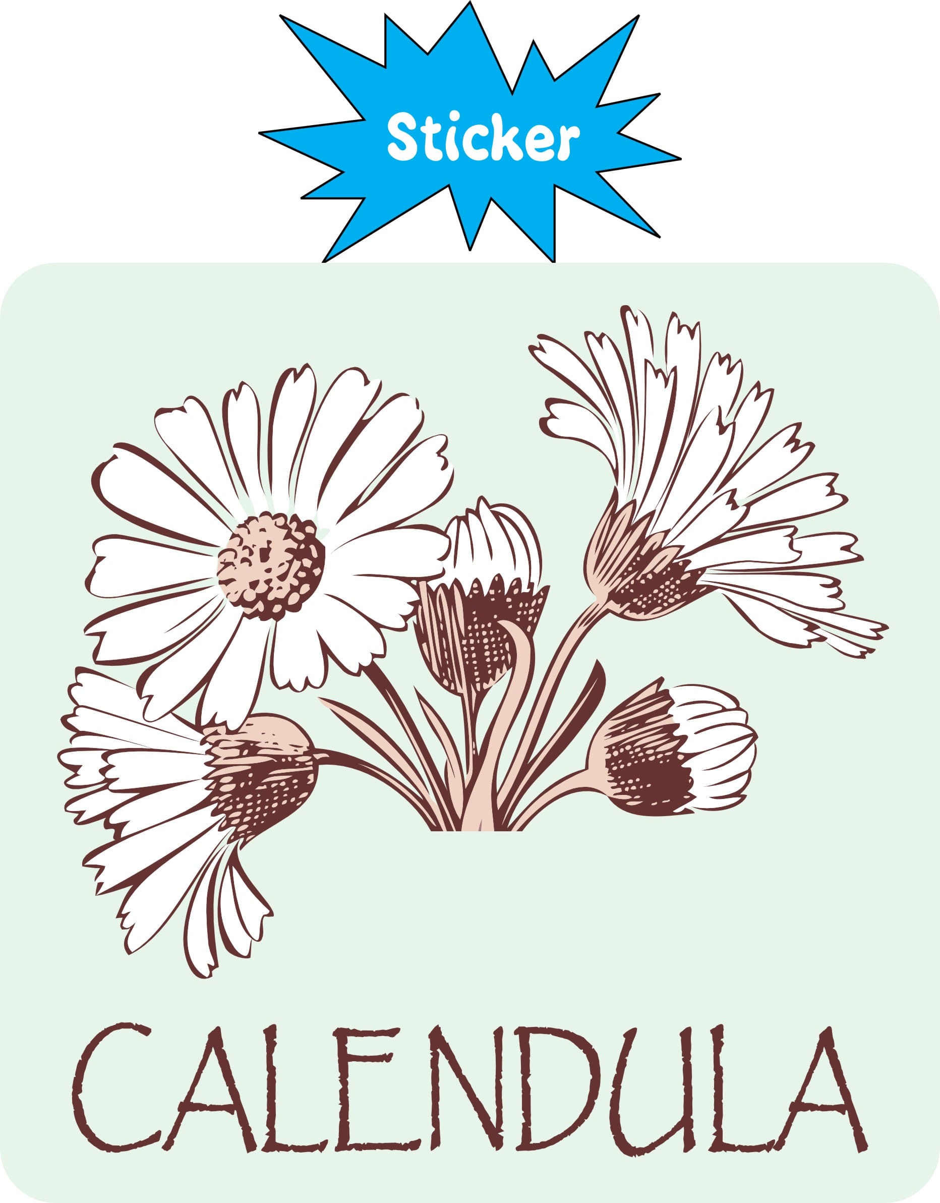 StickerTalk Calendula Vinyl Sticker, 3 inches x 3 inches - Image 2