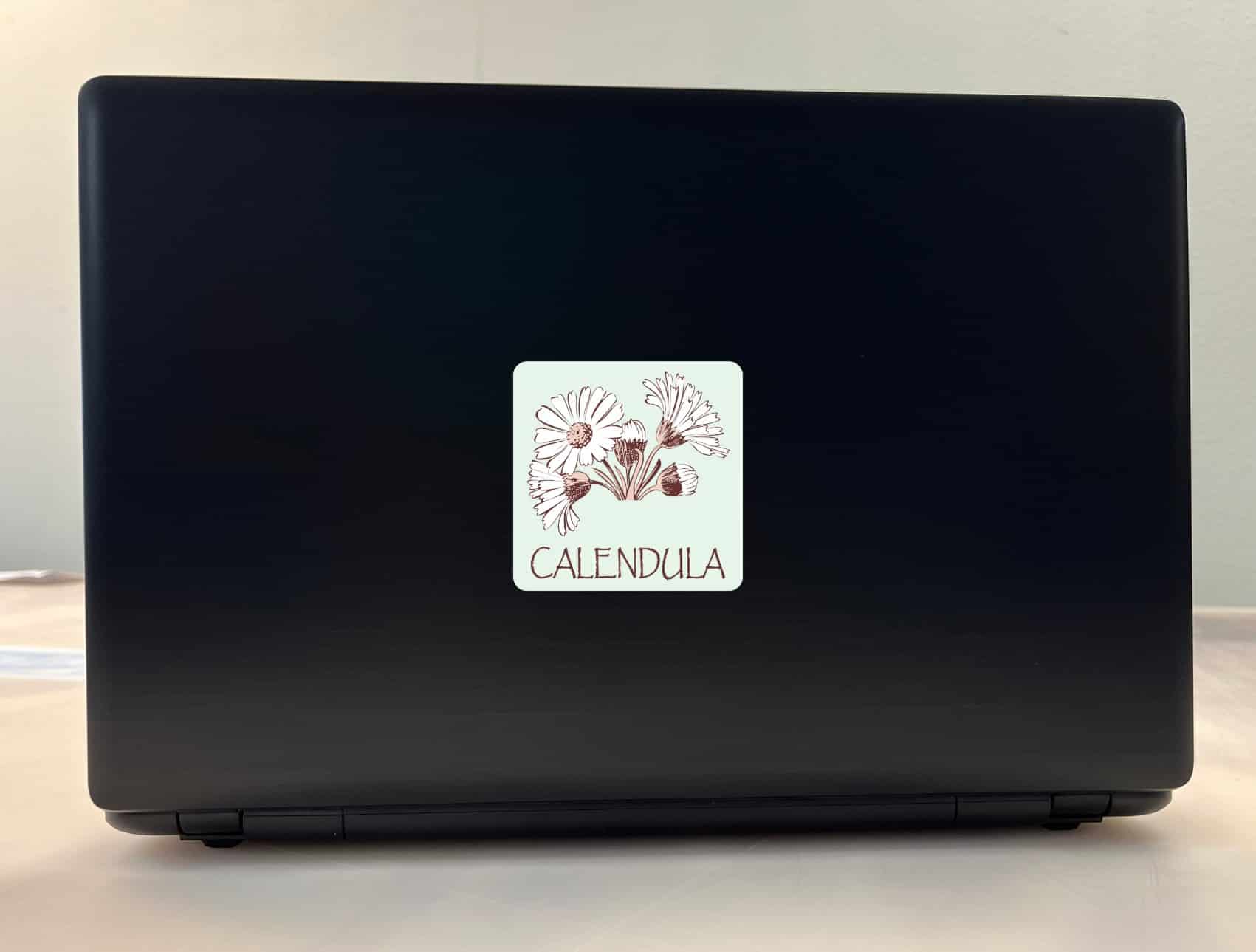 StickerTalk Calendula Vinyl Sticker, 3 inches x 3 inches - Image 3