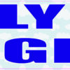 Fly High Hot Air Balloon Magnet