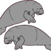 Manatee Vinyl Stickers