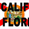Don't California My Florida Vinyl Sticker
