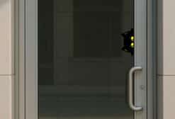 StickerTalk Peeking Cat Vinyl Sticker, 8 inches x 3.5 inches