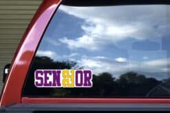 StickerTalk Purple and Yellow Senior 2022 Vinyl Sticker, 9.5 inches x 3 inches