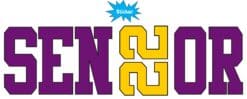 StickerTalk Purple and Yellow Senior 2022 Vinyl Sticker, 9.5 inches x 3 inches