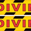 No Diving Vinyl Stickers