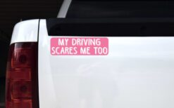 Pink My Driving Scares Me Too Magnet
