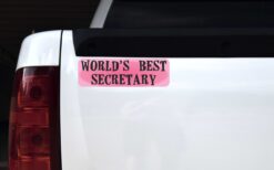 Worlds Best Secretary Vinyl Sticker