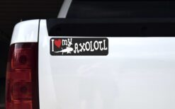 I Love My Axolotl Vinyl Sticker