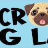 Blue Crazy Pug Lady Magnet